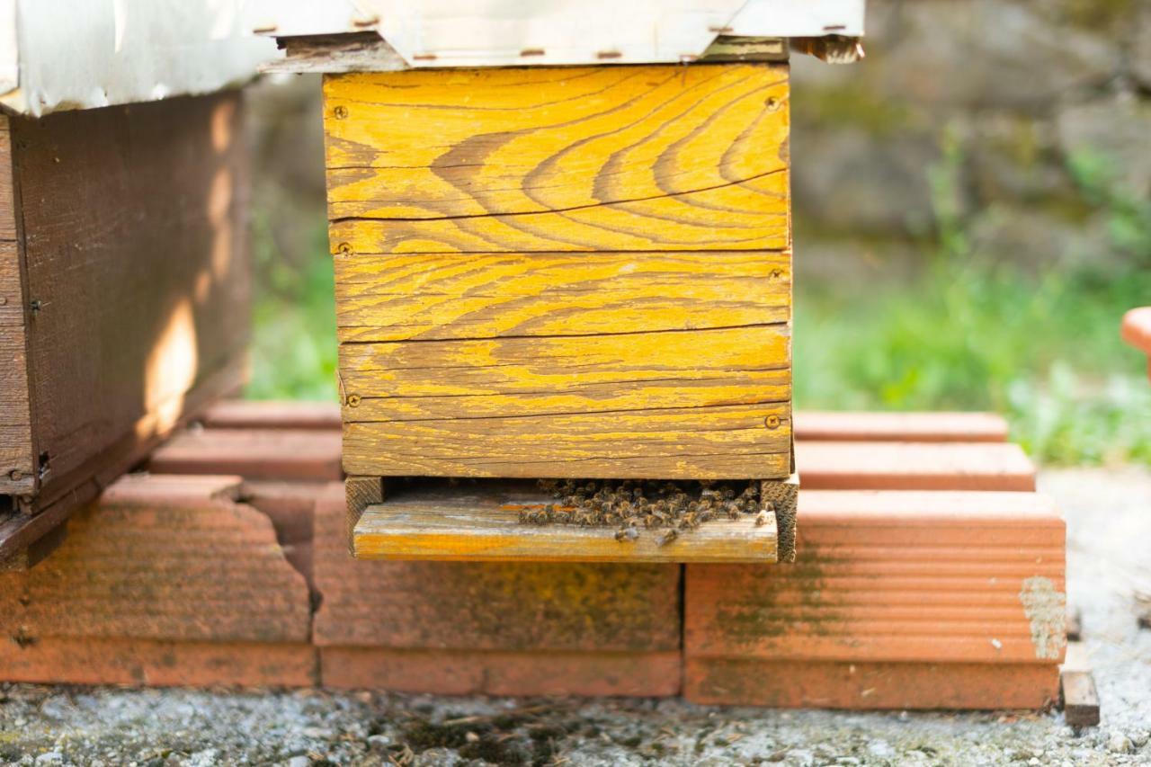 Honey Farm House Virpazar Exterior photo