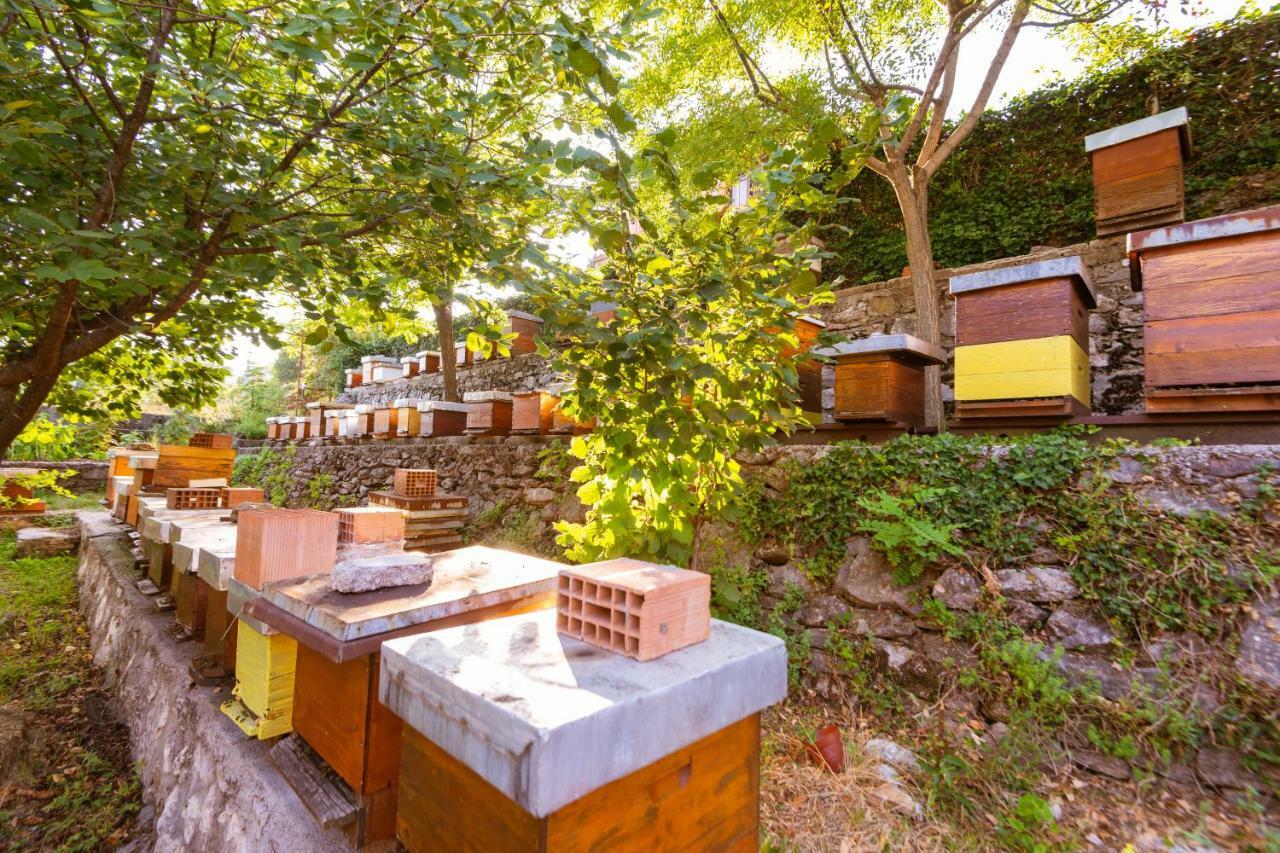 Honey Farm House Virpazar Exterior photo